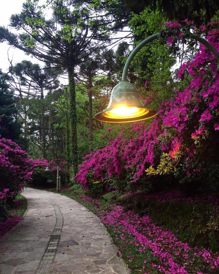 Apartamento Refugio Do Ipe Em Gramado - Proximo Ao Lago Negro Dış mekan fotoğraf